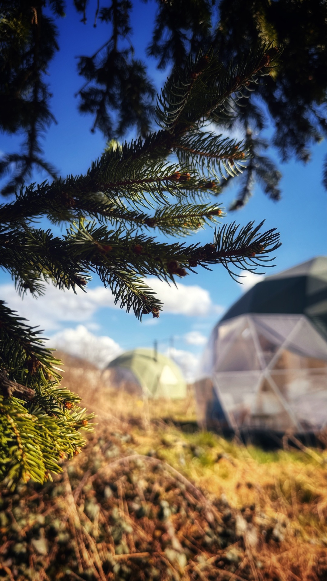 Dôme EARTH — vue 5